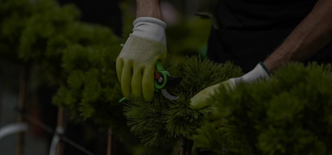 service breadcrumb (2)