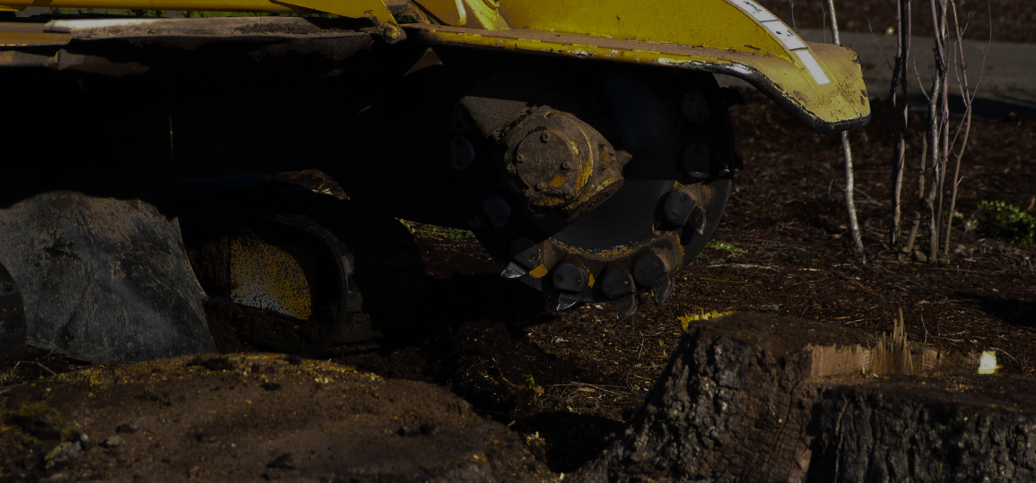 service breadcrumb (3)